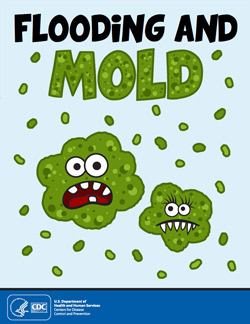 Flooding & Mold